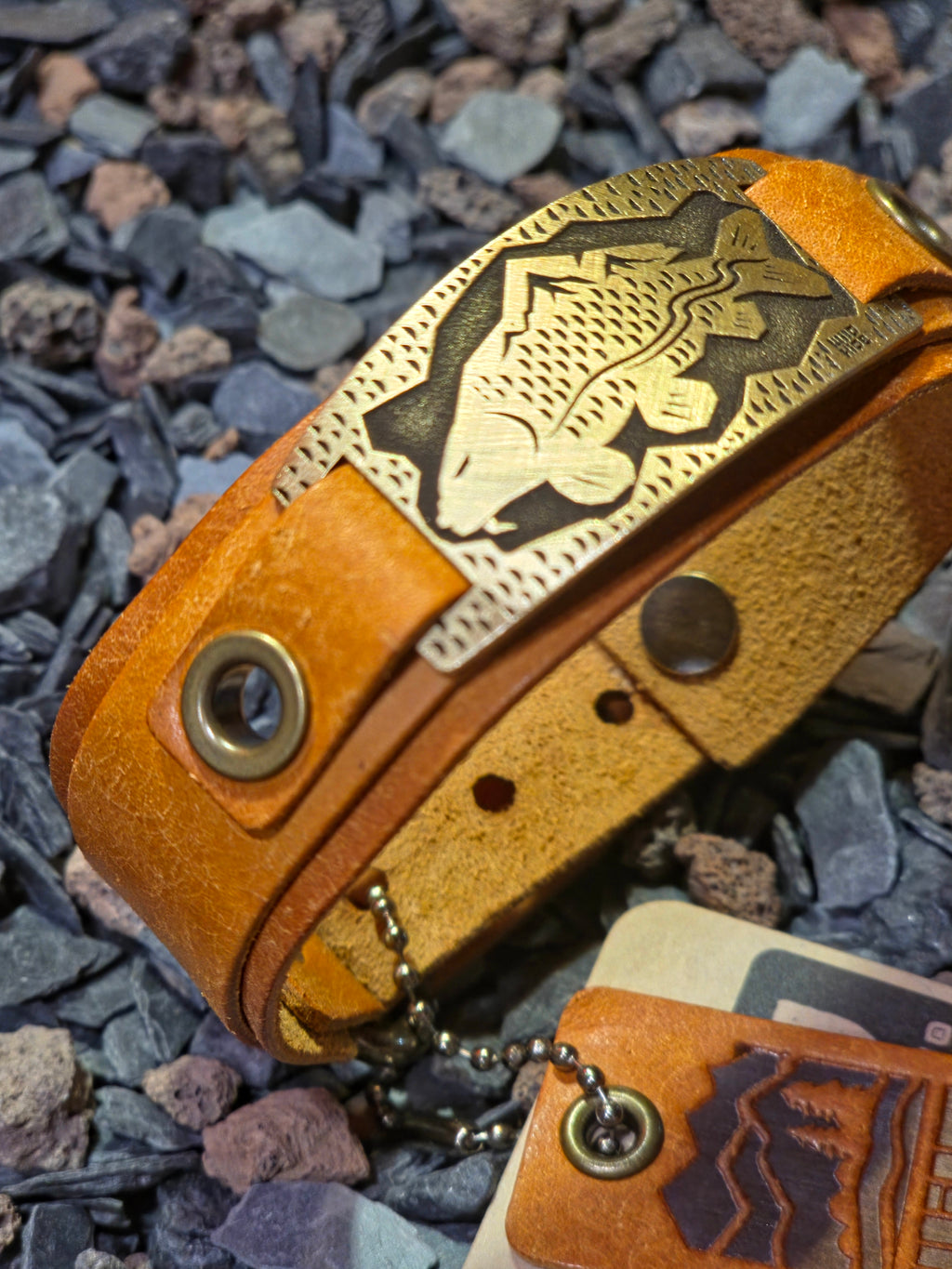 Wild hide origins Carp