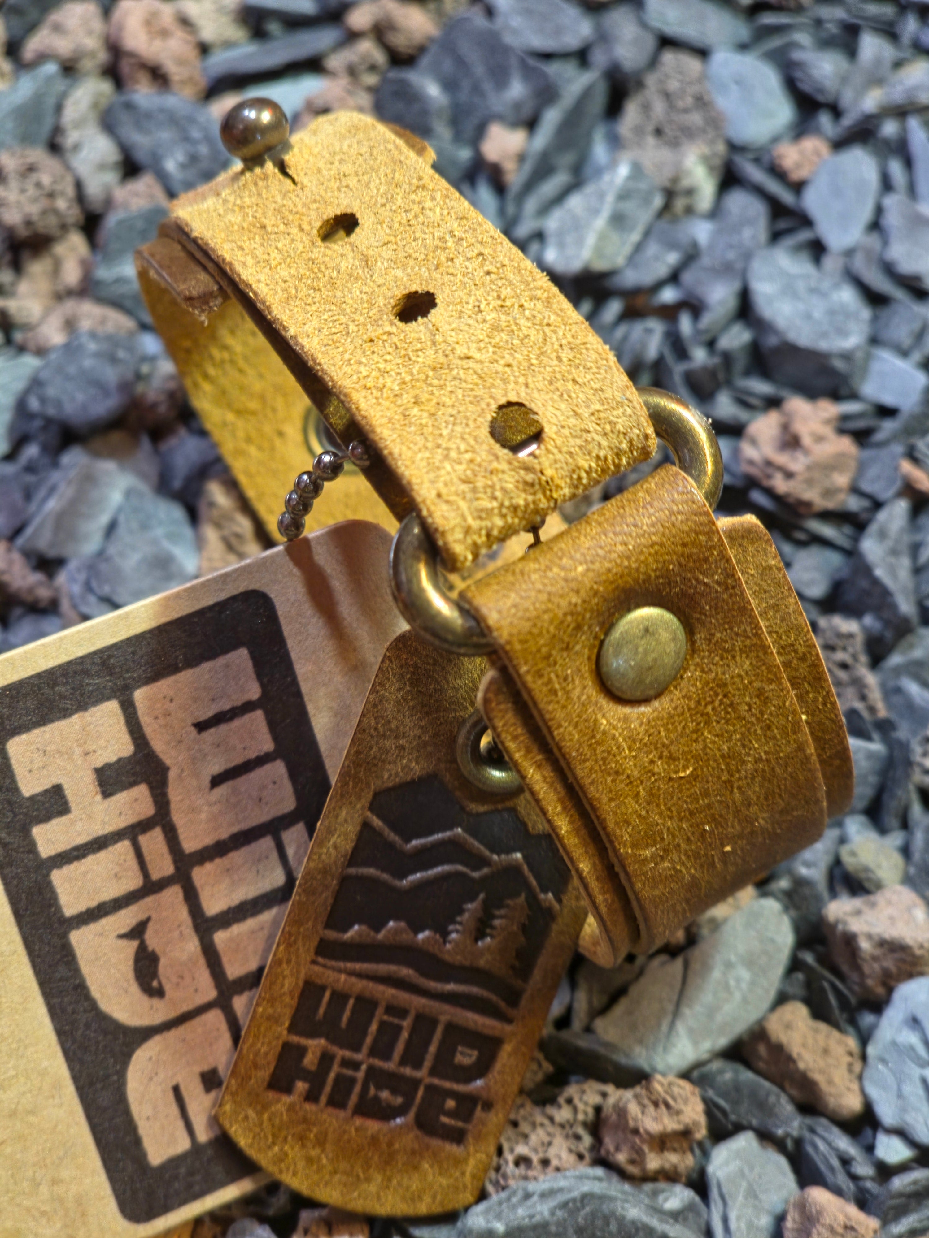 Wild Hide origins barbel